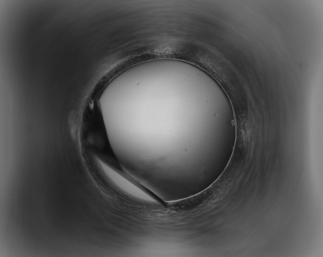 X0000088450728200705291512