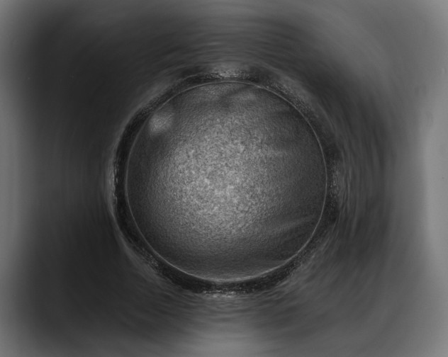 X0000088450730200705291512