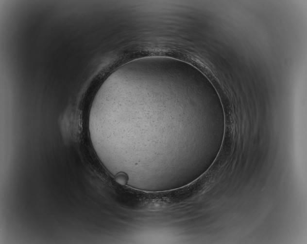 X0000088450731200705291512