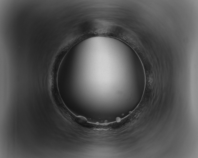 X0000088450732200705291512
