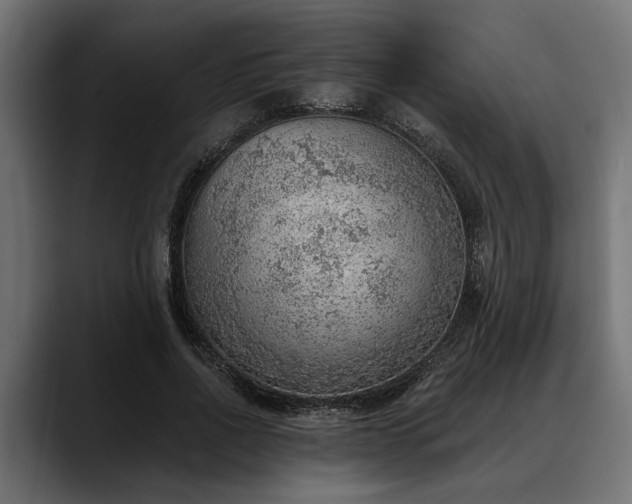 X0000088450734200705291512