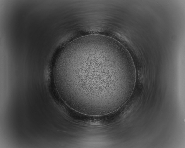 X0000088450735200705291512