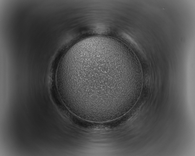 X0000088450736200705291512