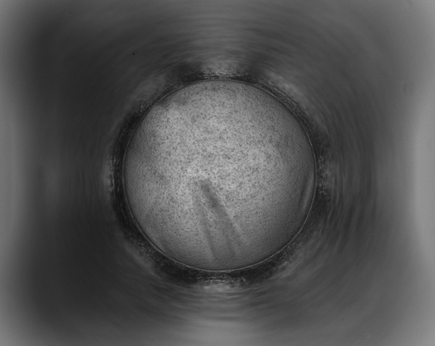 X0000088450738200705291512