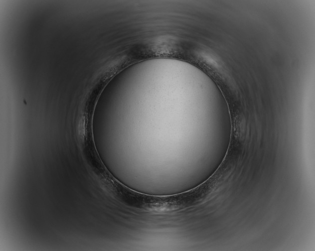 X0000088450740200705291512