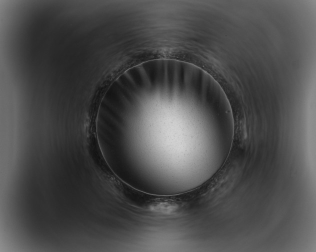 X0000088450750200705291512