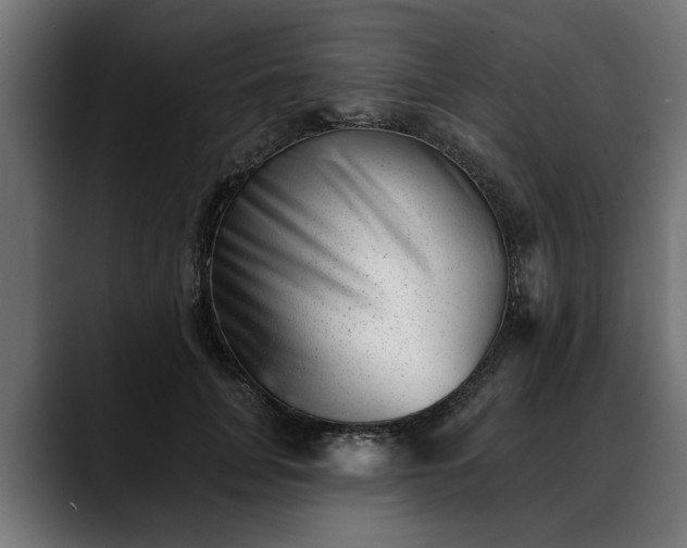 X0000088450751200705291512