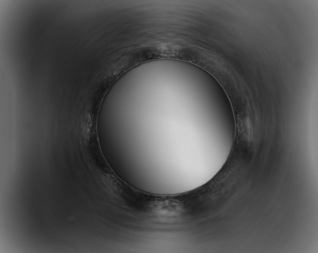 X0000088450752200705291512