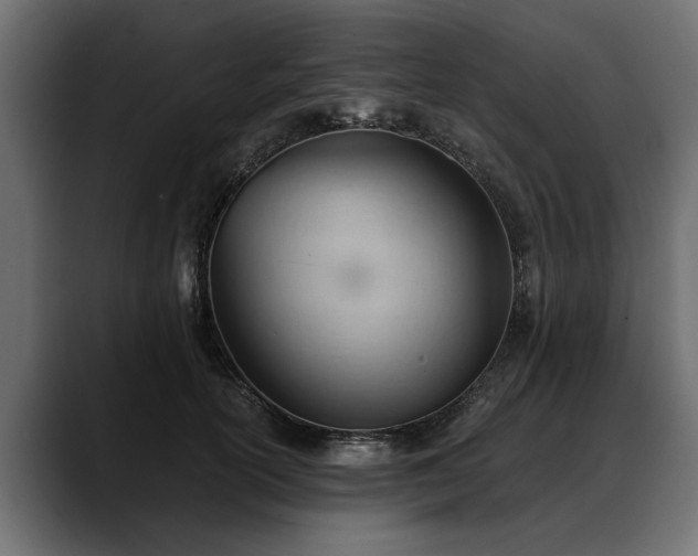 X0000088450754200705291512