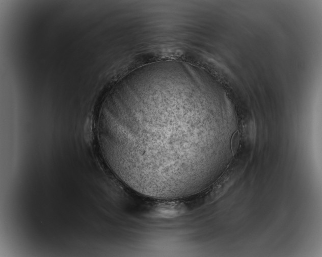 X0000088450757200705291512