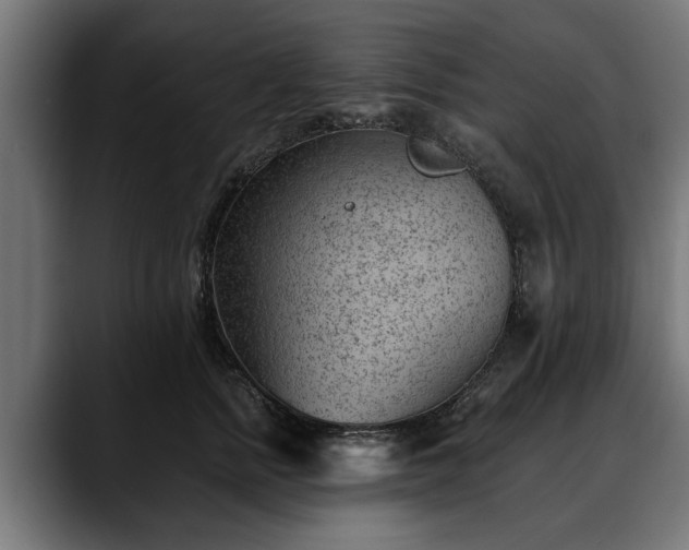 X0000088450758200705291512