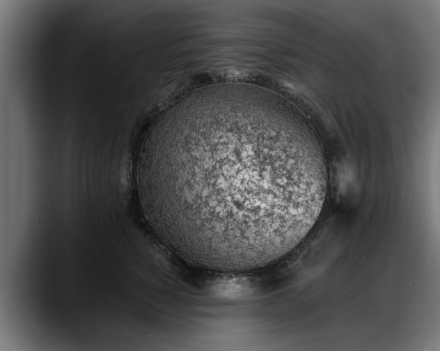 X0000088450760200705291512