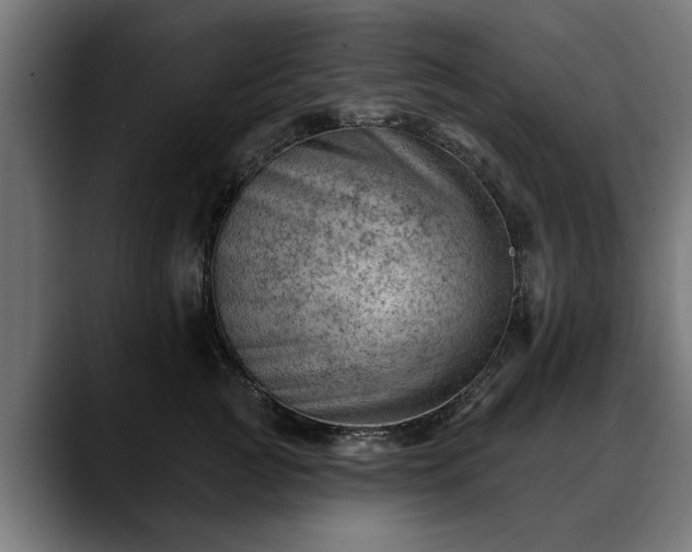 X0000088450761200705291512