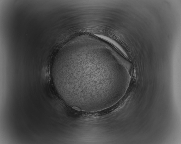 X0000088450771200705291512