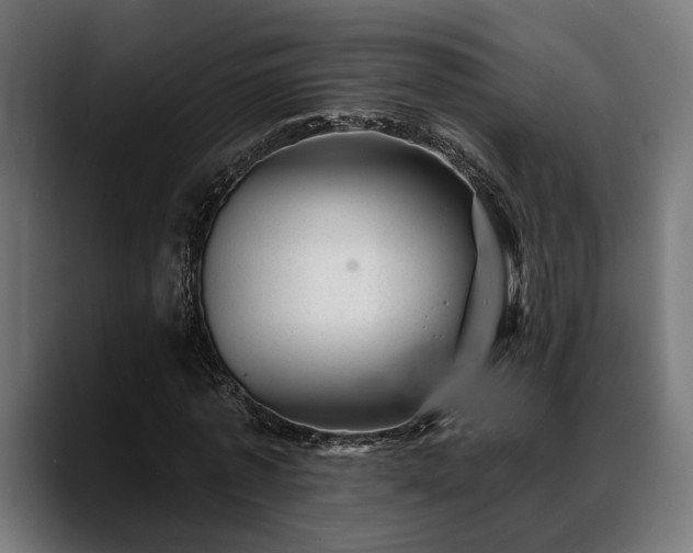 X0000088450773200705291512