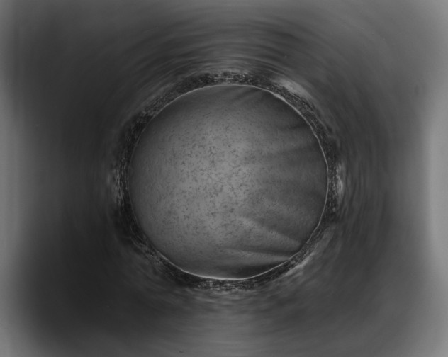 X0000088450774200705291512