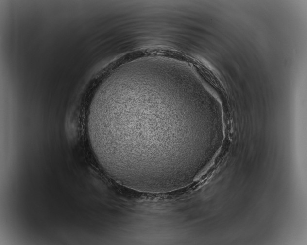 X0000088450775200705291512