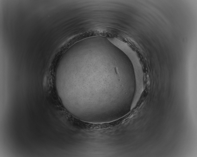 X0000088450776200705291512
