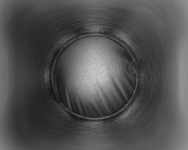 X0000088450778200705291512