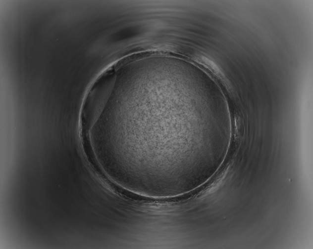 X0000088450780200705291512
