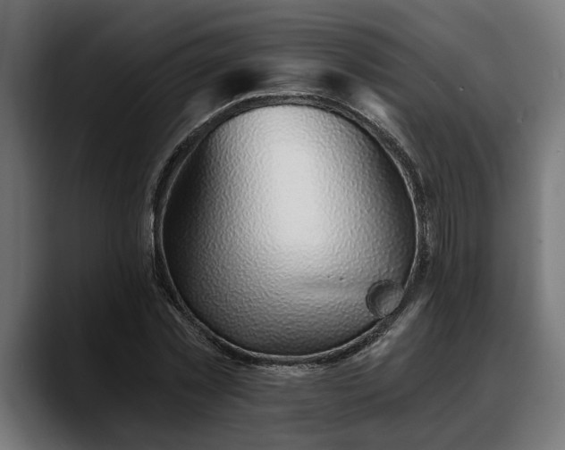 X0000088450781200705291512