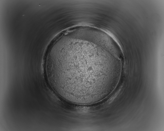 X0000088450783200705291512