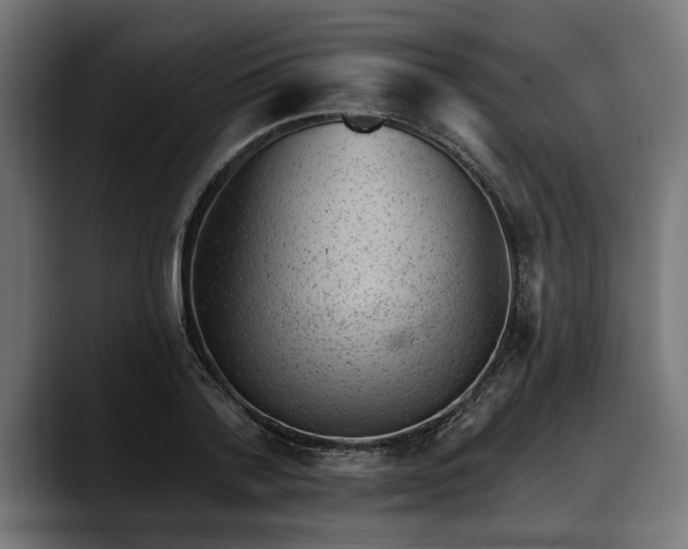 X0000088450788200705291512