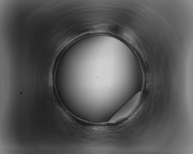 X0000088450789200705291512
