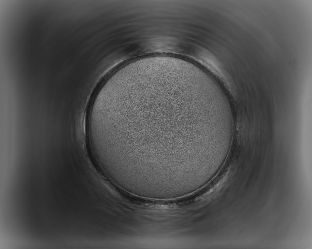 X0000088450790200705291512