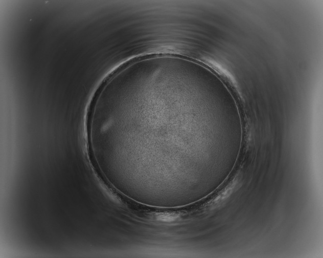 X0000088450792200705291512