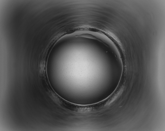 X0000088450793200705291511