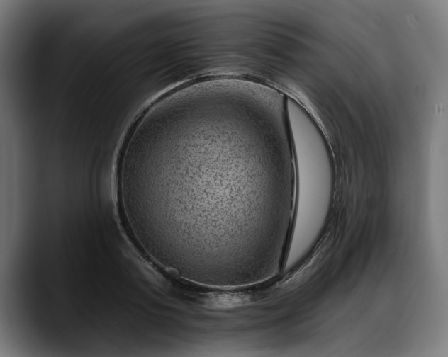 X0000088450795200705291511