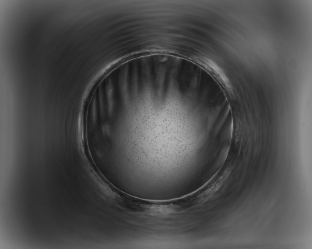 X0000088450796200705291511