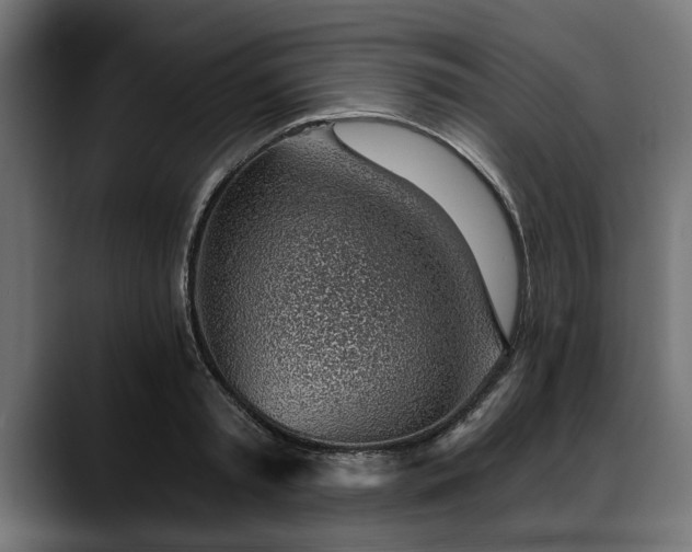 X0000088450797200705291511