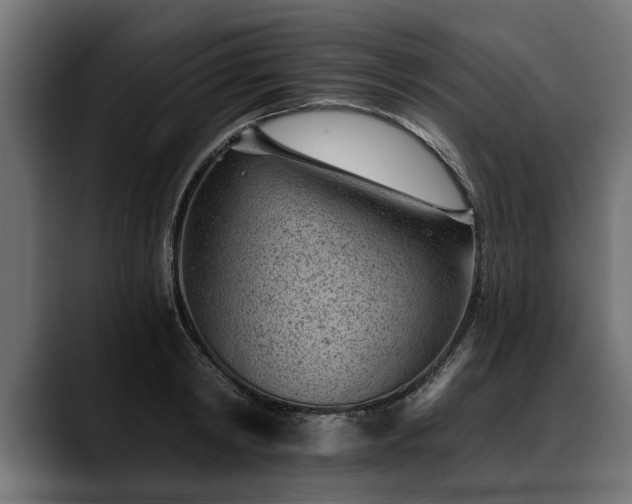 X0000088450798200705291511