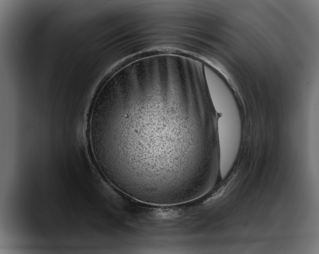 X0000088450799200705291511