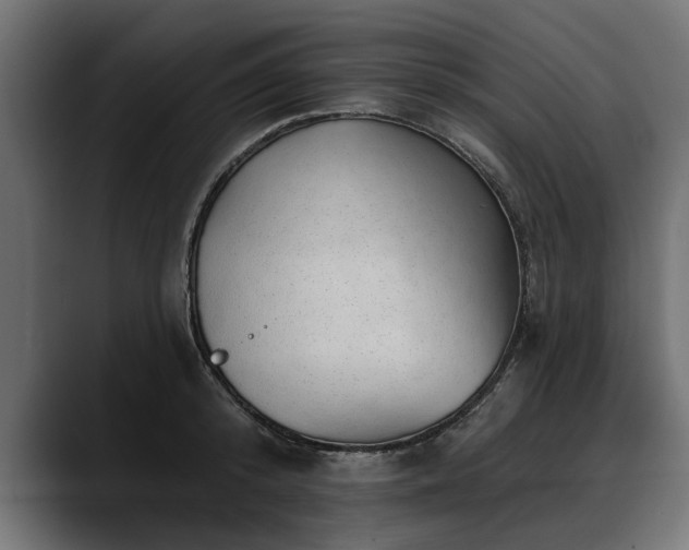 X0000088450800200705291511