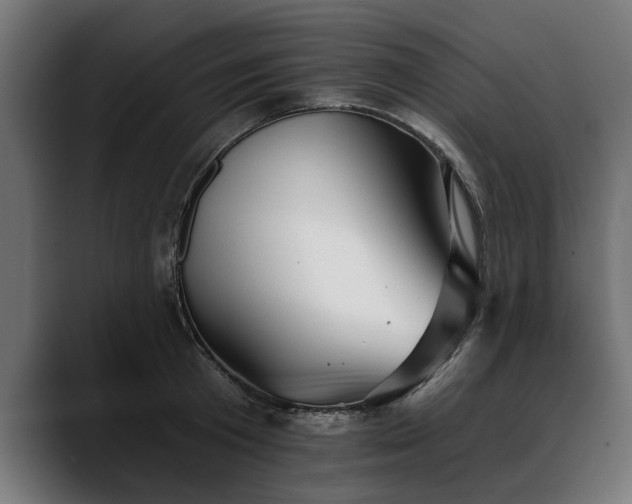 X0000088450801200705291511