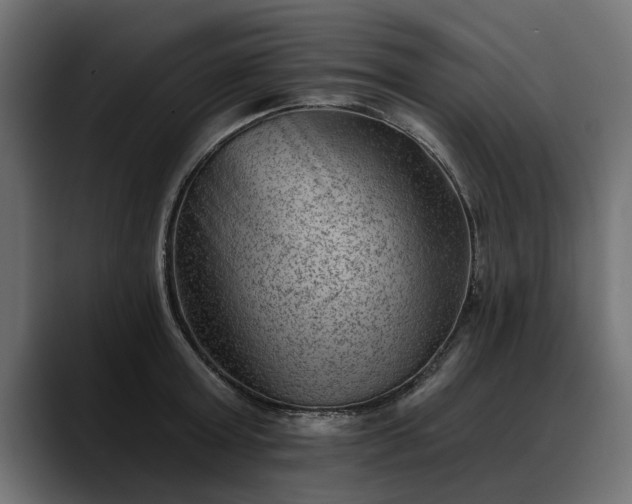X0000088450803200705291511