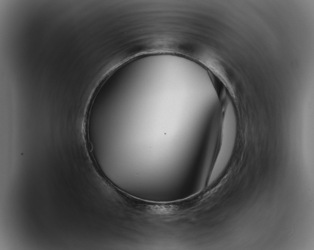 X0000088450805200705291511