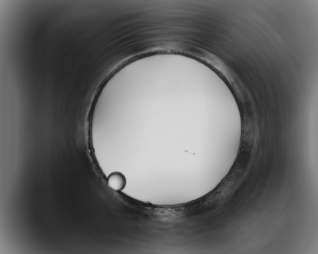 X0000088450807200705291511