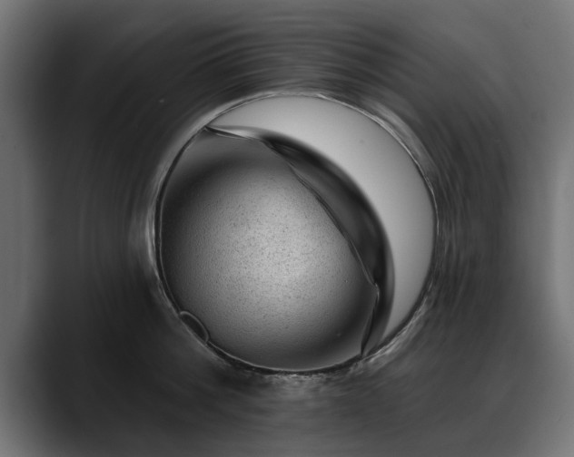 X0000088450812200705291511