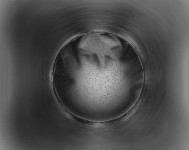 X0000088450814200705291511