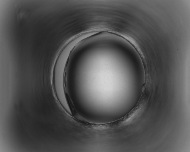 X0000088450815200705291511