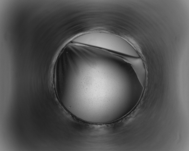 X0000088450816200705291511