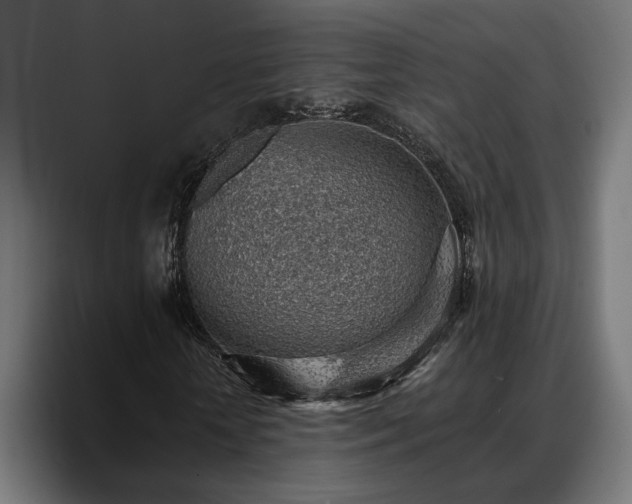X0000088450818200705291511