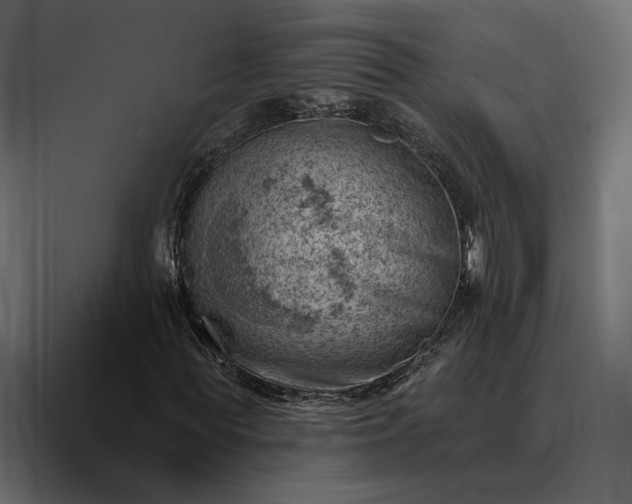 X0000088450819200705291511