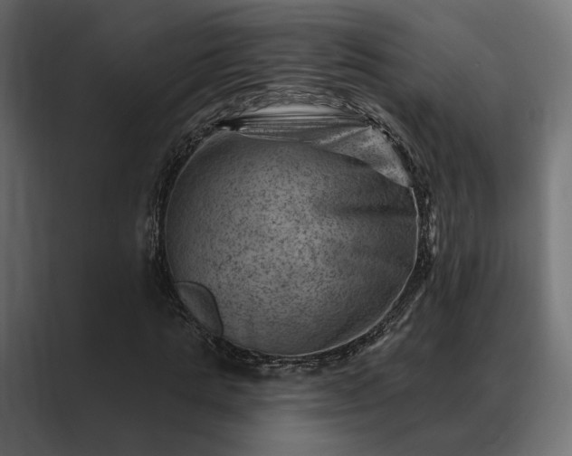 X0000088450821200705291511
