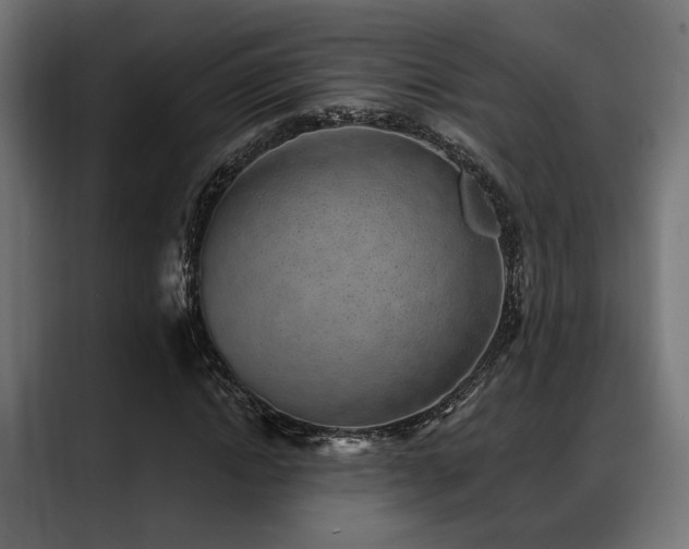 X0000088450822200705291511