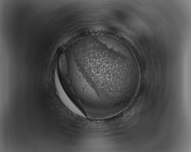 X0000088450823200705291511